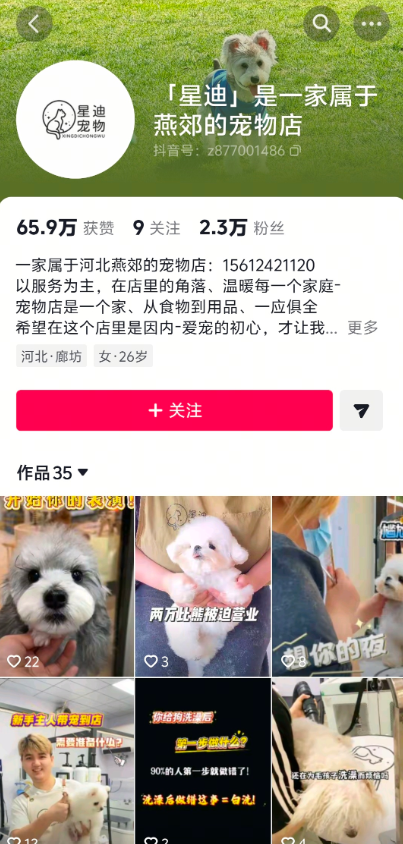 抖音 — 星迪宠物主页