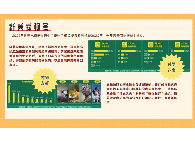 策划案