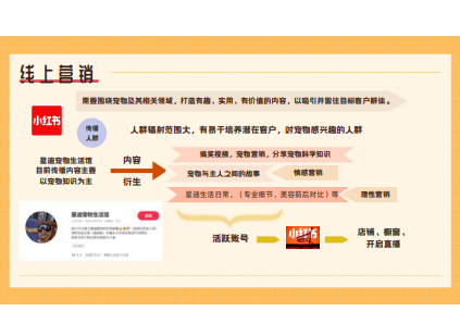 策划案